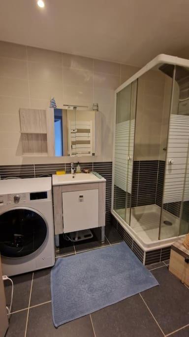 Appartement Cocooning Ars-sur-Moselle Exteriör bild